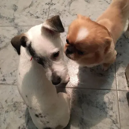 Отель централ